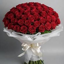 Букет 101 Красная роза Блэк Мэджик в Шатск Тульская область