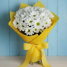 Букет цветов из:  Хризантемы #REPLACE_PRED# Шатск Тульская область