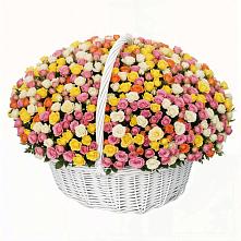 Премиум букет из: Розы в Шатск Тульская область