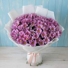 Букет цветов из:  Хризантемы #REPLACE_PRED# Шатск Тульская область