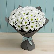 Букет цветов из:  Хризантемы #REPLACE_PRED# Шатск Тульская область