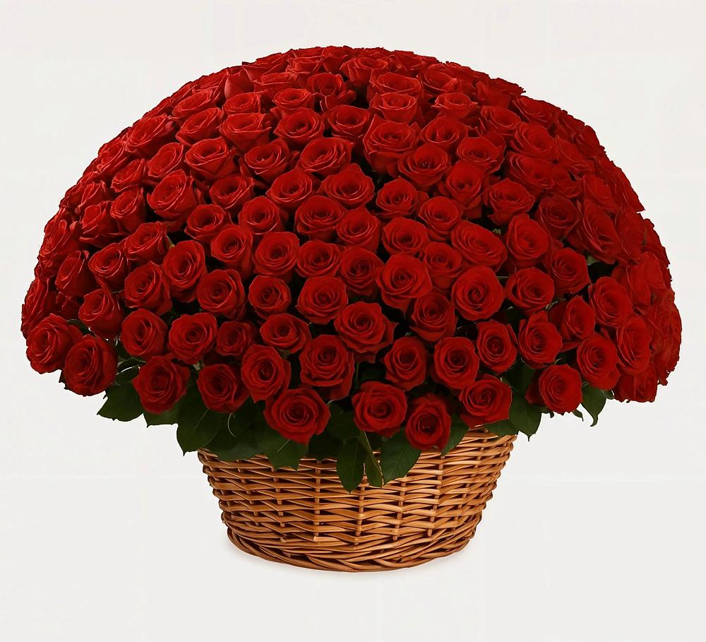 Премиум букет из: Розы в Шатск Тульская область