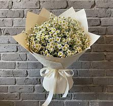 Букет цветов из:  Ромашки #REPLACE_PRED# Шатск Тульская область