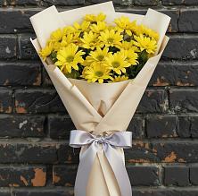 Букет цветов из:  Хризантемы в Шатск Тульская область