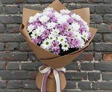 Букет цветов из:  Хризантемы #REPLACE_PRED# Шатск Тульская область