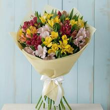 Букет цветов из:  Альстромерии в Шатск Тульская область
