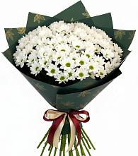 Букет цветов из:  Хризантемы #REPLACE_PRED# Шатск Тульская область