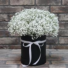 Цветочная композиция из Гипсофила в шляпной коробке в Шатск Тульская область