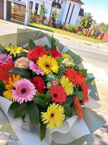 Букет цветов из: Герберы в Шатск Тульская область