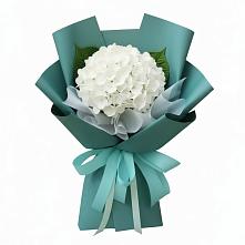 Букет цветов из:  Гортензия #REPLACE_PRED# Шатск Тульская область